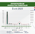 Exportaciones de Productos Forestales