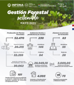 Gestión Forestal Sostenible – Mayo 2023