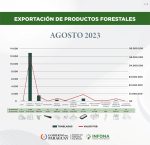 Exportaciones de Productos Forestales