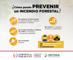Ante altas temperaturas INFONA apela a colaboración ciudadana para prevenir incendios forestales