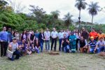 Realizan plantación de árboles nativos en la ciudad de Yaguarón