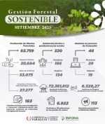 Gestión Forestal Sostenible – Setiembre 2023