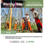 CEFOTESFOR Itapúa: funcionarios son capacitados como motosierristas forestales