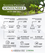 Gestión Forestal Sostenible – Octubre 2023