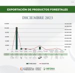 Exportación de productos forestales del mes de diciembre de 2023