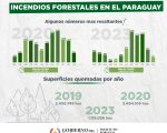 El INFONA revela datos estadísticos sobre incendios forestales durante los últimos cuatro años