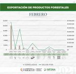 Exportación de productos forestales del mes de febrero de 2024