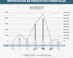 Importación de productos forestales del mes de marzo de 2024