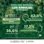 19 de Junio: Día del Árbol en Paraguay