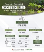Gestión Forestal Sostenible – Enero, Febrero y Marzo 2024