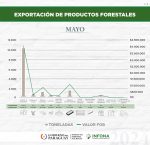 Exportación de productos forestales del mes de mayo de 2024
