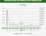 Exportación de productos forestales del mes de junio de 2024