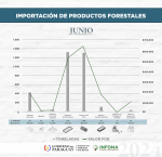 Importación de productos forestales del mes de junio de 2024