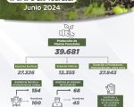 Gestión Forestal Sostenible – Junio 2024
