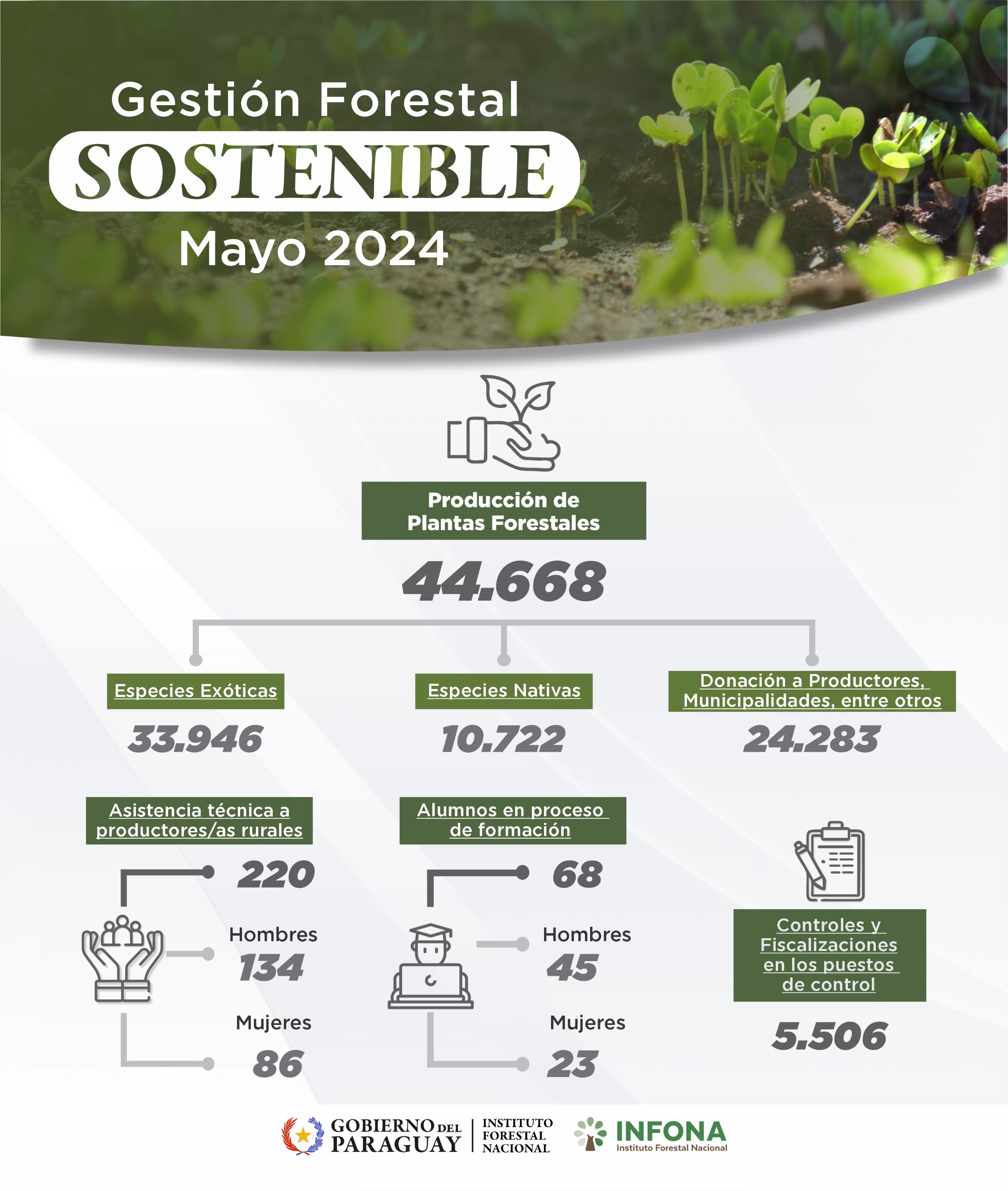 gestión forestal sostenible Mayo 2024