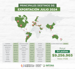 Conozca los cinco principales destinos de exportaciones forestales del mes de julio