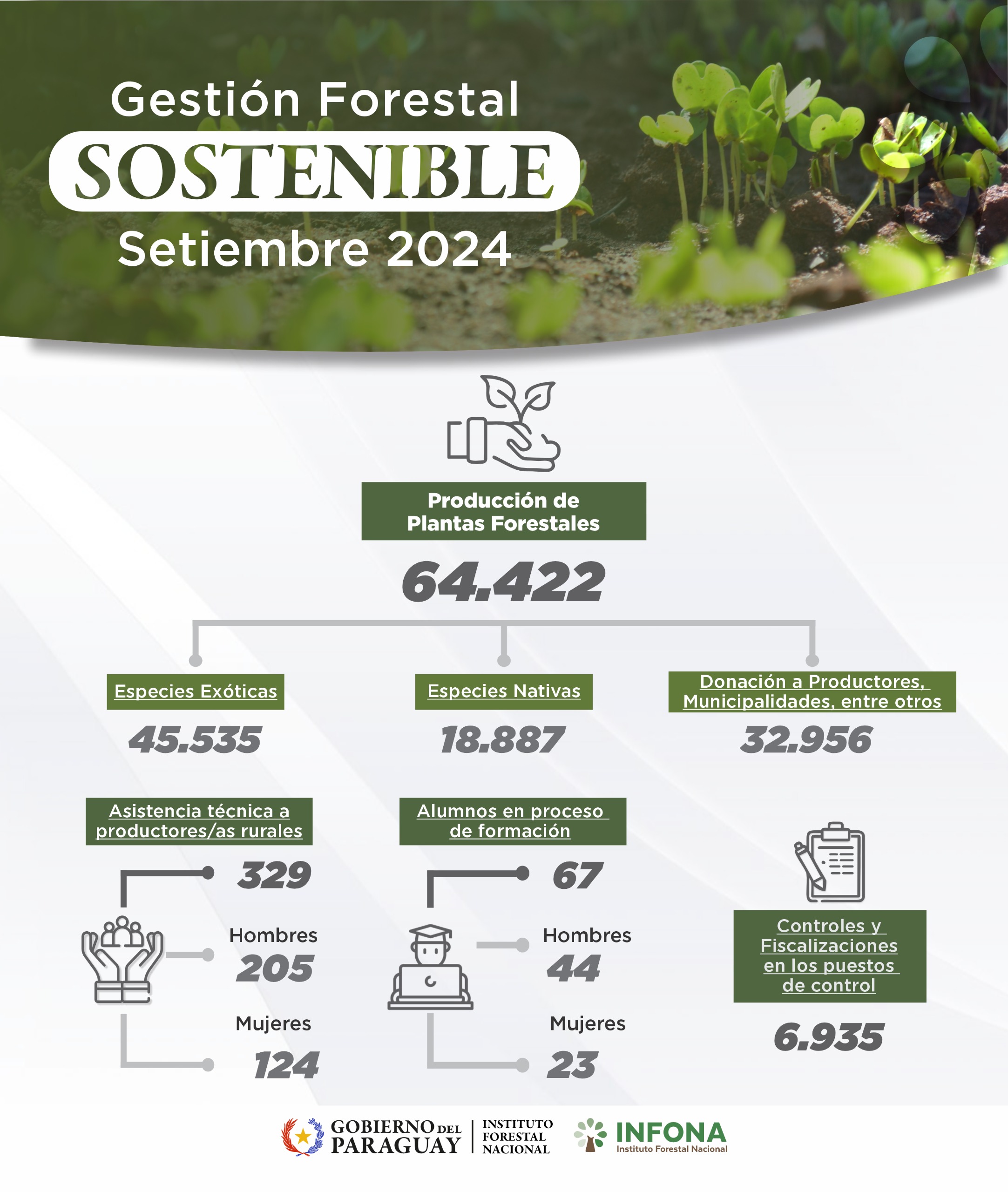 Gestión forestal sostenible