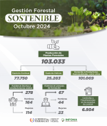 Gestión forestal sostenible – Octubre