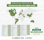 Top 3 de productos forestales exportados durante el mes de octubre