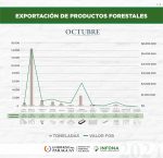 Exportación de productos forestales del mes de octubre de 2024