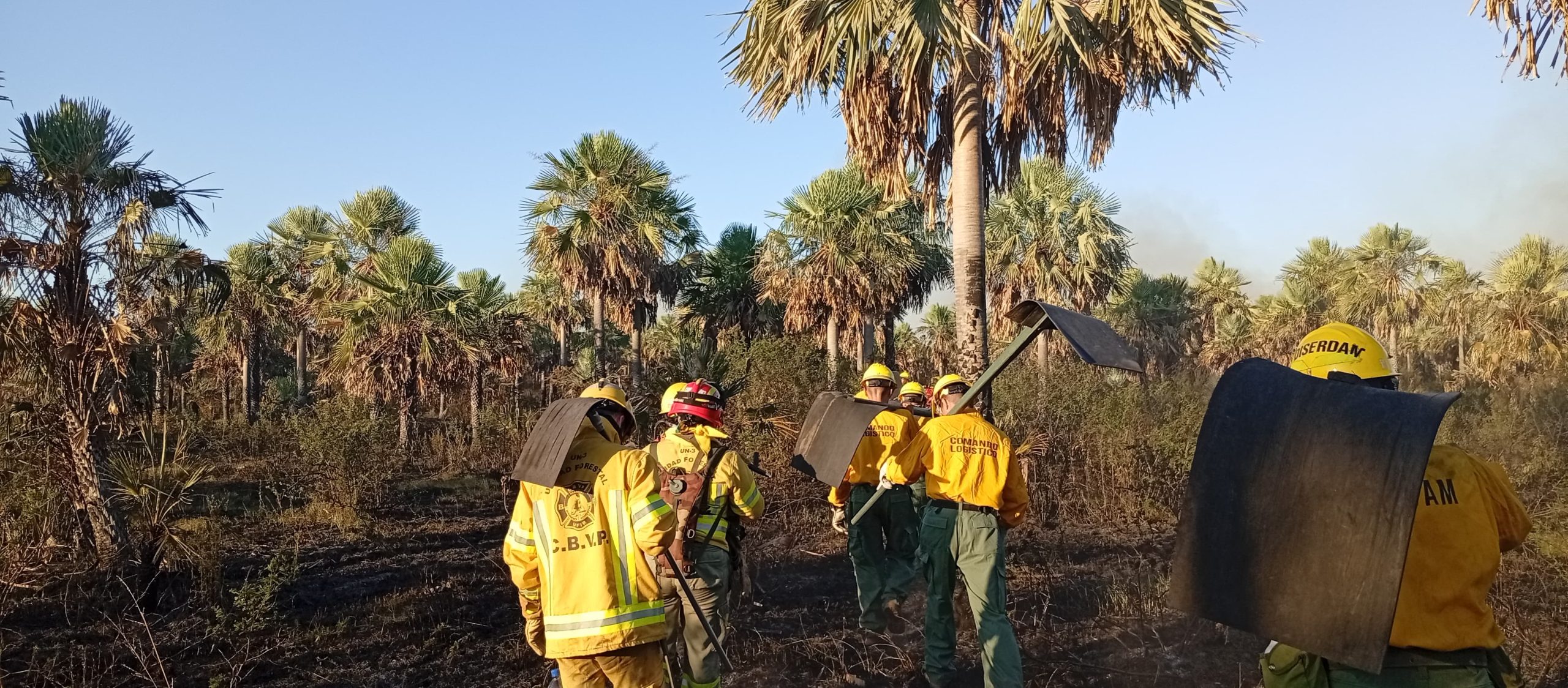 incendios forestales