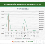 Exportación de productos forestales del mes de noviembre de 2024