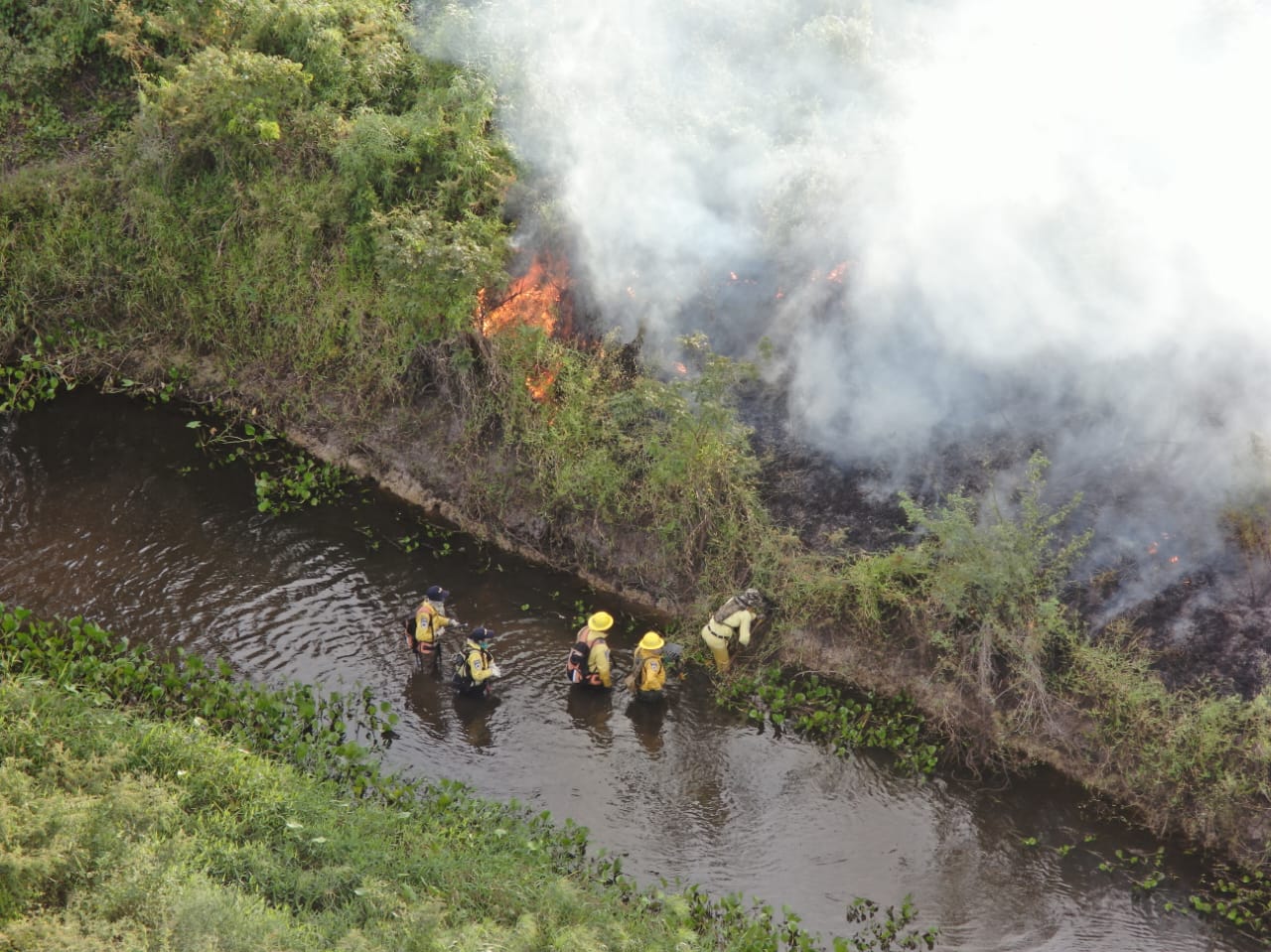 incendios forestales