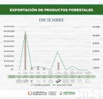 Exportación de productos forestales del mes de diciembre de 2024