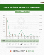 Exportación de productos forestales del mes de enero de 2025