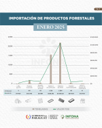 Importación de productos forestales del mes de enero de 2025