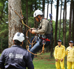 Un paso más hacia la restauración forestal: INFONA impulsa colecta de semillas forestales nativas.