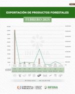 Exportación de productos forestales del mes de febrero de 2025