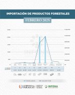 Importación de productos forestales del mes de febrero de 2025