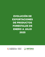 El sector forestal impulsa la economía: exportaciones de Paraguay marcan récord en 2025