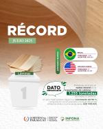 Paraguay registra récord de exportación de láminas y consolida desempeño del sector forestal