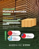 Exportaciones forestales de Paraguay: la madera aserrada se destaca en agosto 2025