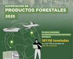 Comercio exterior de productos forestales: resultados 2025 y consolidación de una oferta exportable más diversificada y con mayor procesamiento