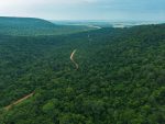 Paraguay conserva el 44,4% de su territorio forestal, según nuevo reporte nacional del INFONA