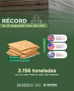 Paraguay fortalece su comercio forestal: contrachapada marca récord y consolida la industrialización del sector