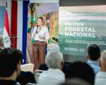 Paraguay presenta su primera Política Forestal Nacional para impulsar el desarrollo sostenible del sector